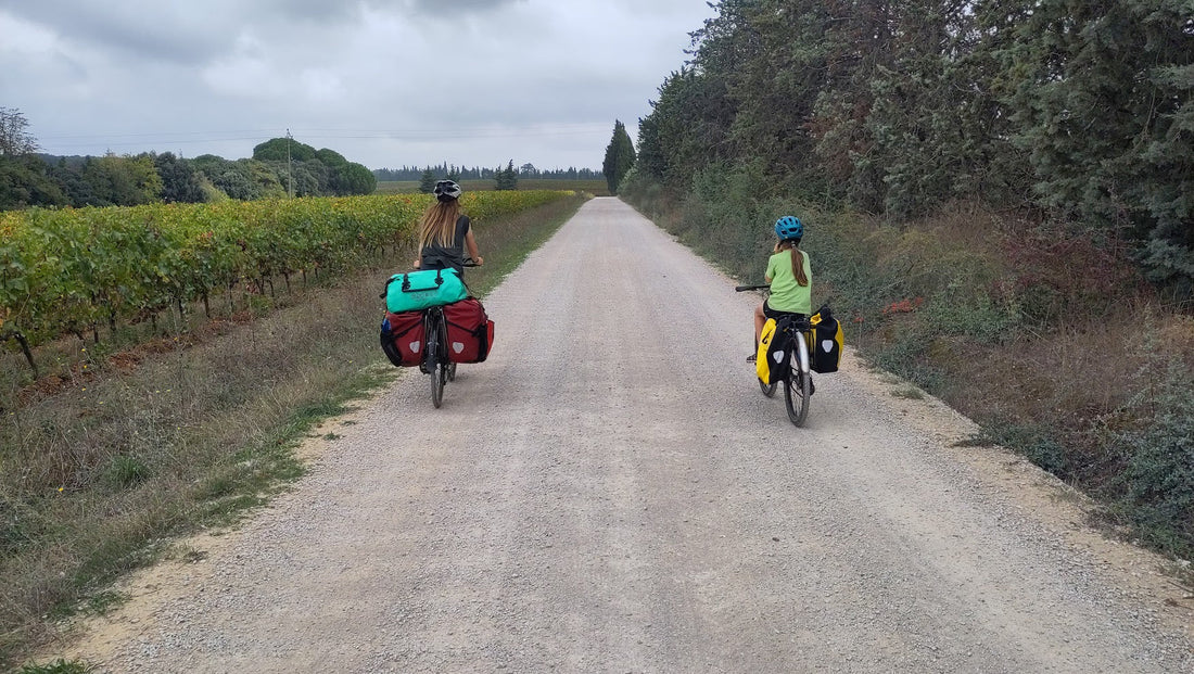 Family cycling in the vineyards