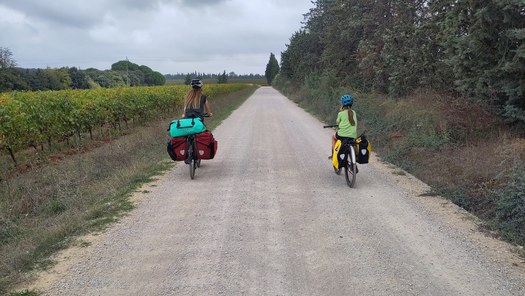 Family cycling in the vineyards