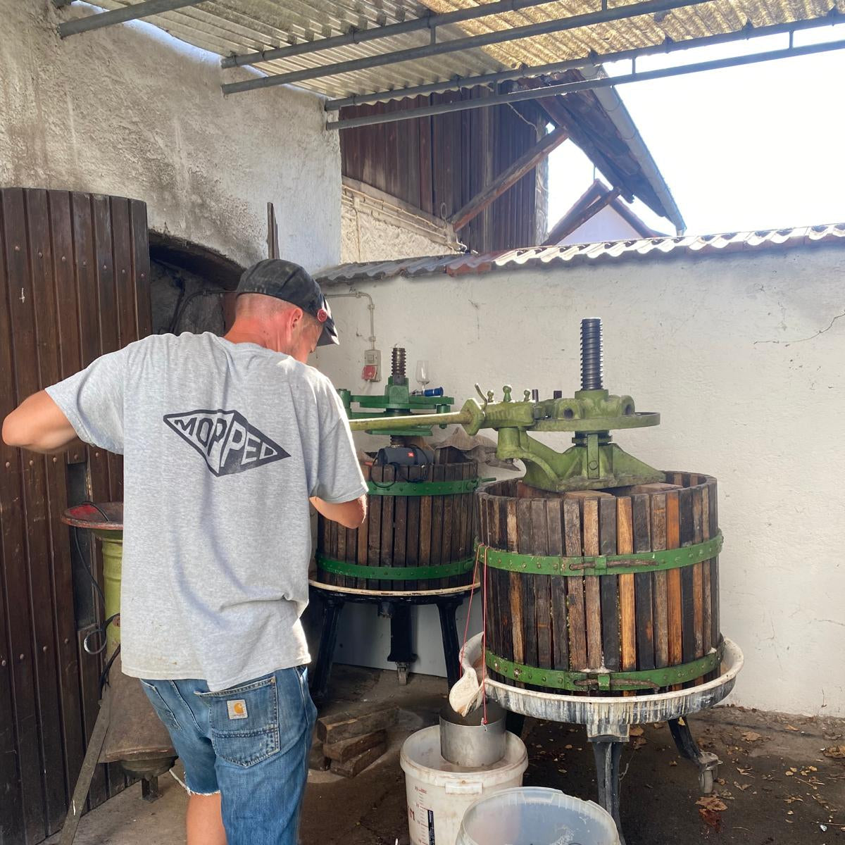 The wine industry is broken. Here's who gets to fix it