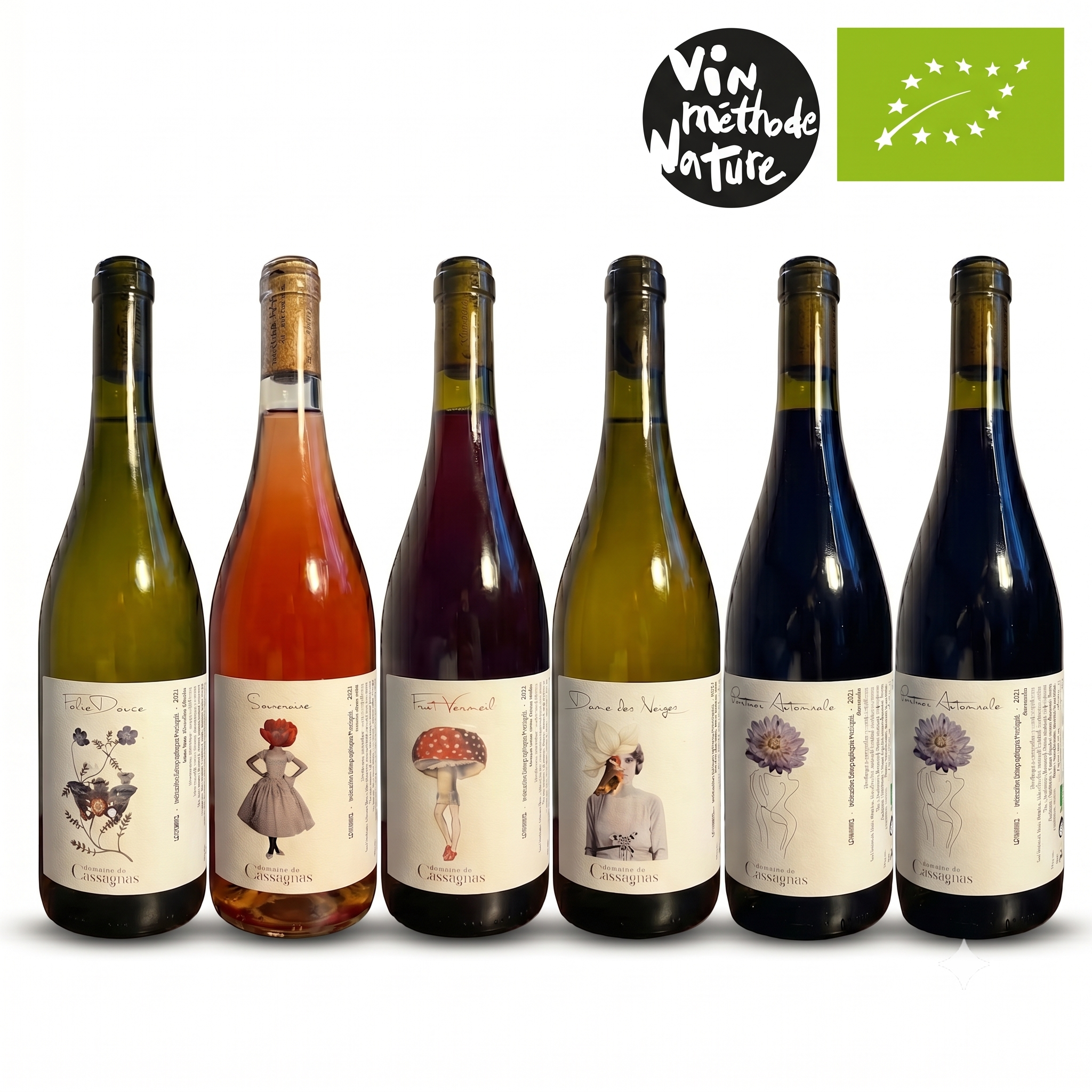 Six wine bottles in different colors arranged in a row on a white background, with a black circular 'Vin rustode Nature' logo and a green organic certification logo above them.