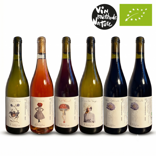 Six wine bottles in different colors arranged in a row on a white background, with a black circular 'Vin rustode Nature' logo and a green organic certification logo above them.
