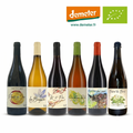 6 Bottles Case | Domaine FloBusch | Herault 🇫🇷