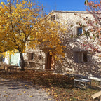 Stone building with a tree shedding yellow leaves in front of Clos Costella in Spain