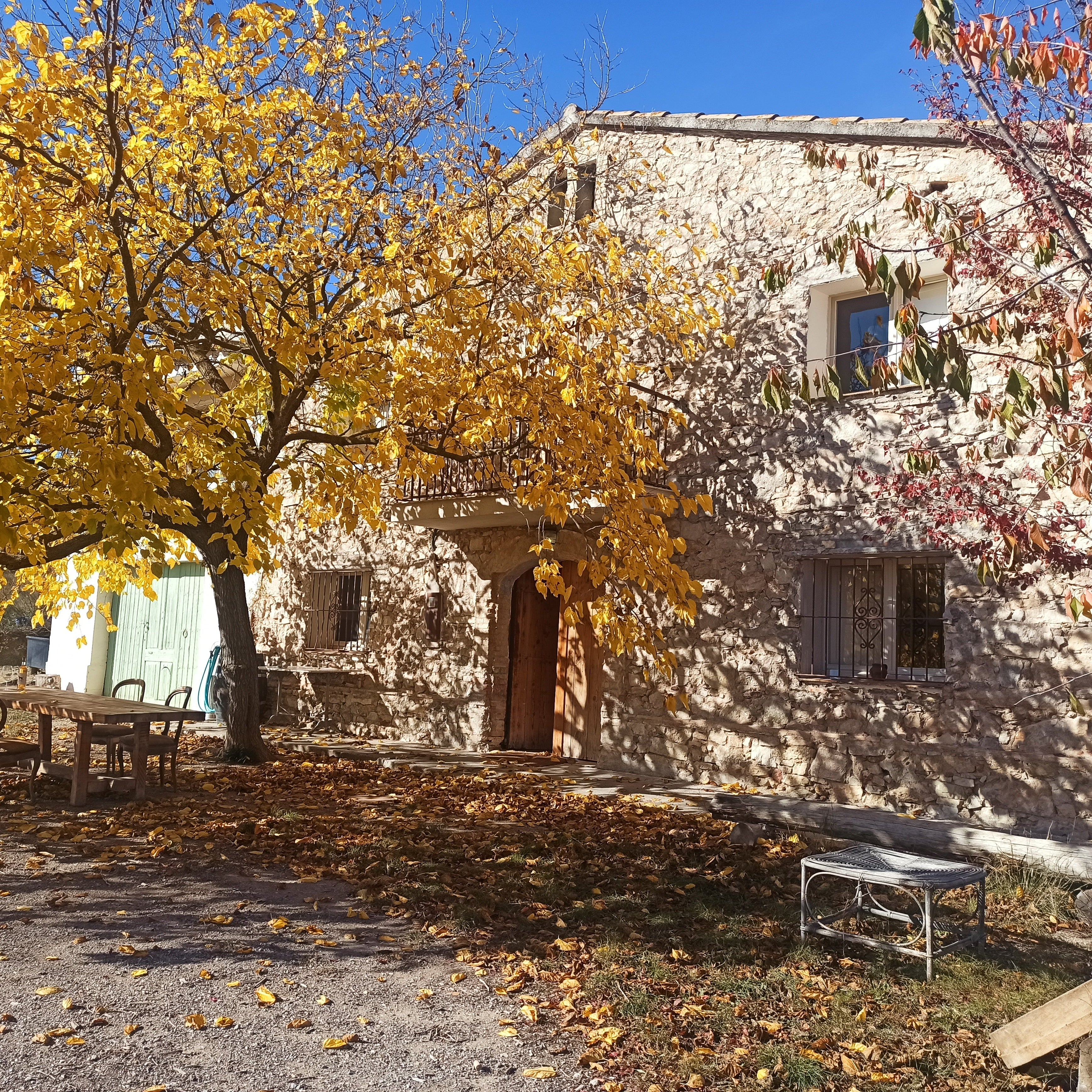 Stone building with a tree shedding yellow leaves in front of Clos Costella in Spain