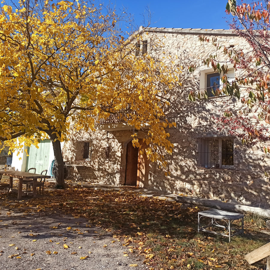 Stone building with a tree shedding yellow leaves in front of Clos Costella in Spain