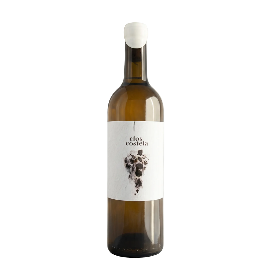 Wine bottle labeled 'Clos Costela' on a light surface with a blurred background