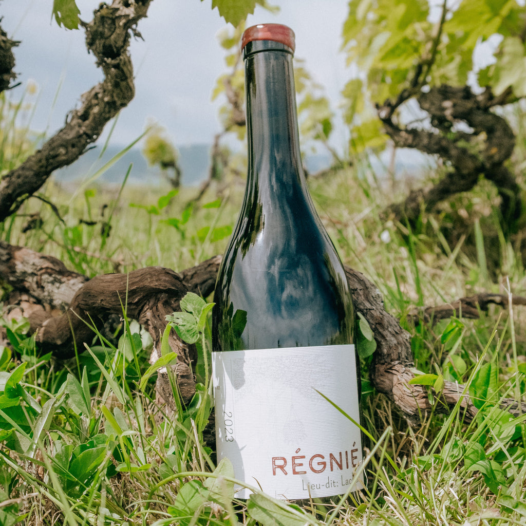 A dark glass wine bottle with a white label reading 'RÉGNIER' stands upright in grass outdoors, surrounded by grapevine branches and leaves under a cloudy sky.
