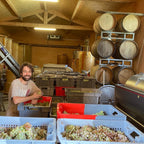 Flo in a storage room with crates of grapes and barrels at Domaine FloBusch