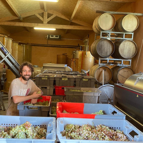 Flo in a storage room with crates of grapes and barrels at Domaine FloBusch