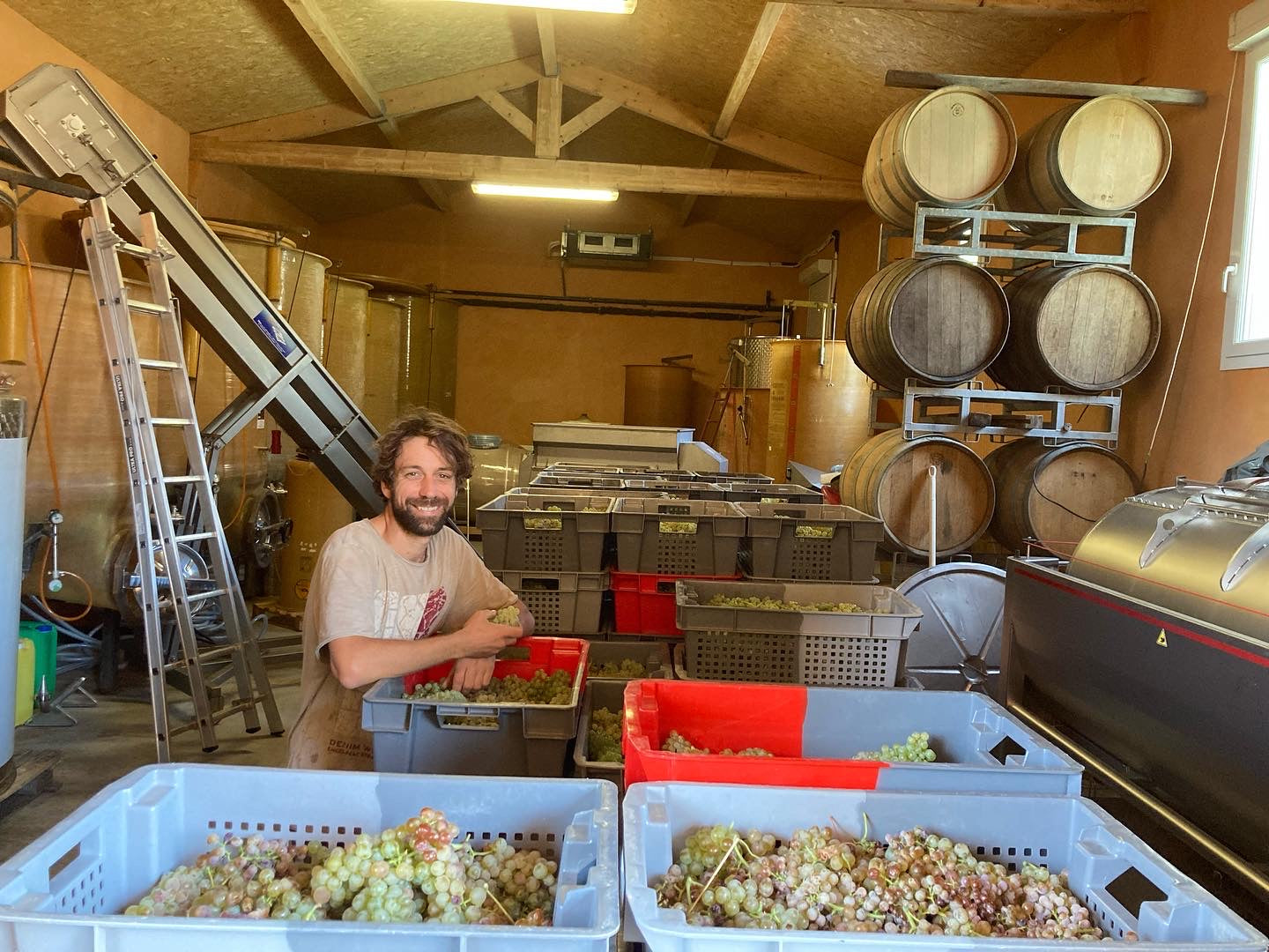 Man in a wine storage room with crates of grapes and barrels
