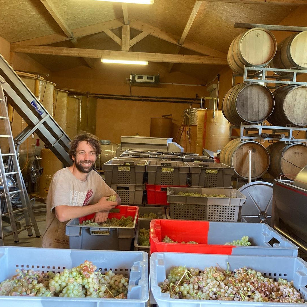 Man in a wine storage room with crates of grapes and barrels