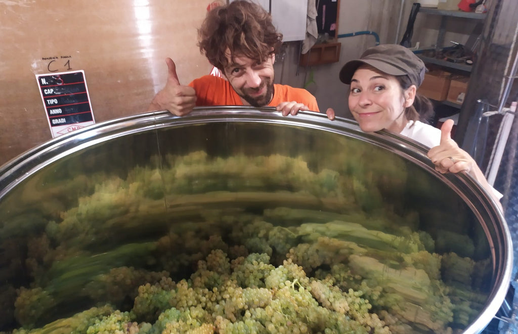 Paola and Flo people peeking over a large metal container filled with green grapes in a winery setting at Domaine FloBusch