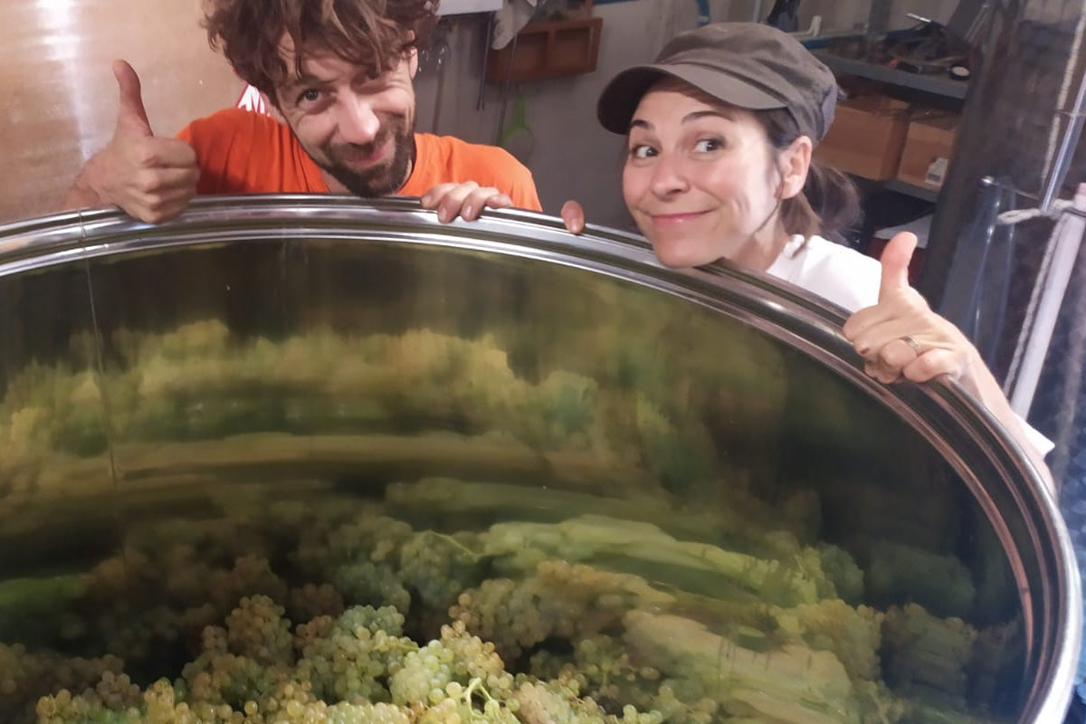 Paola and Flo people peeking over a large metal container filled with green grapes in a winery setting at Domaine FloBusch