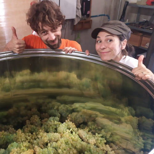 Paola and Flo people peeking over a large metal container filled with green grapes in a winery setting at Domaine FloBusch