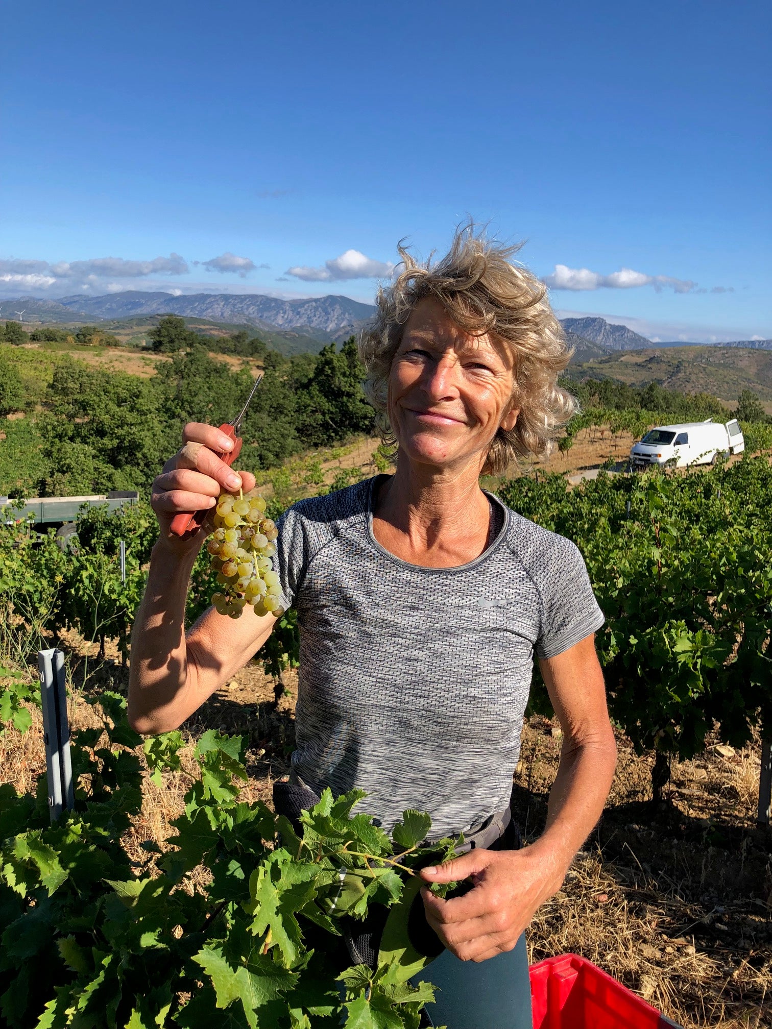 A smiling France Crispeels outdoors in a vineyard holding a bunch of green grapes, wearing a gray heathered t-shirt and dark pants, with mountains and a blue sky in the background.