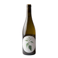 A dark green glass bottle with a white oval label featuring a green botanical illustration of a stinging nettle plant, set against a plain white background.