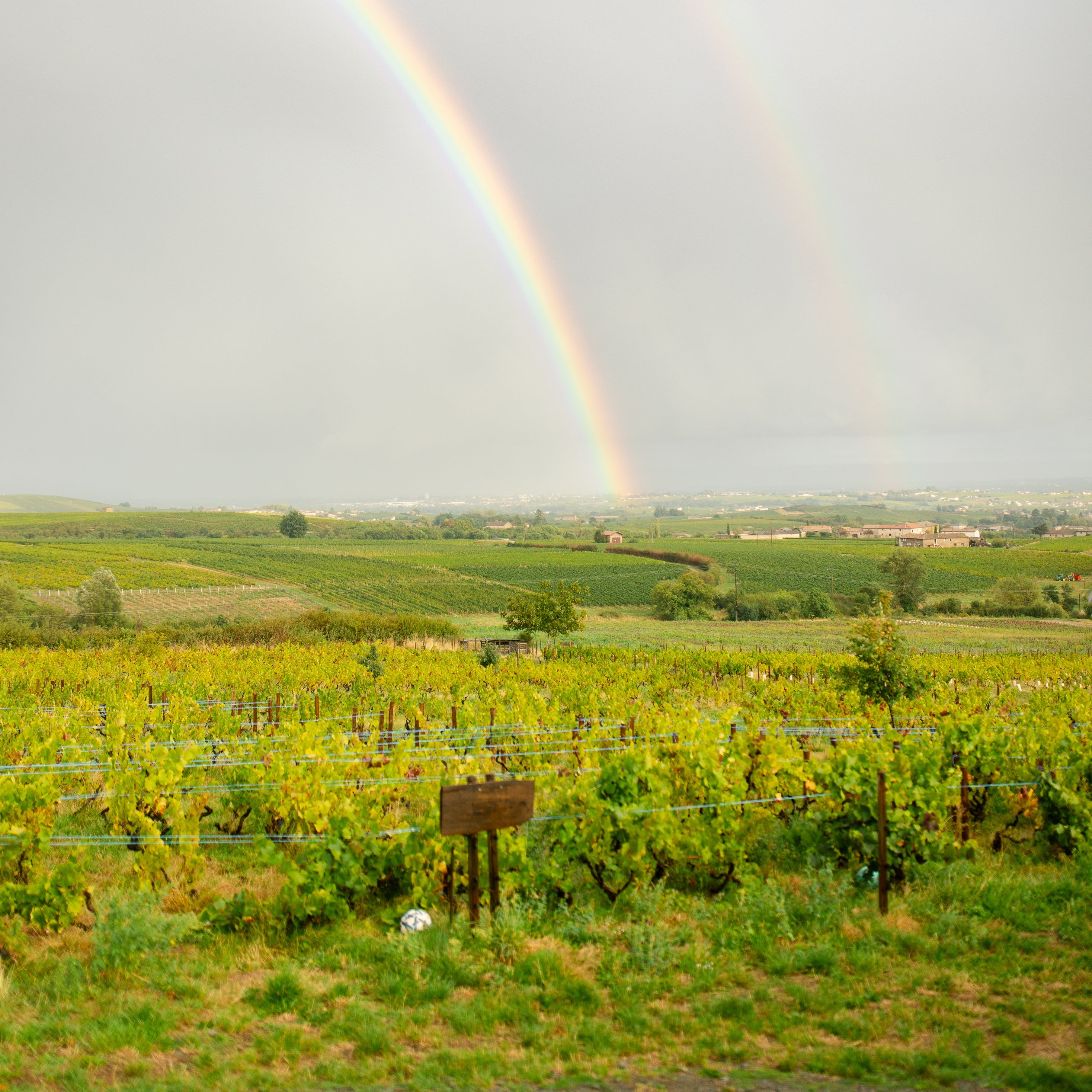 A double rainbow arches over a green vineyard landscape under a cloudy gray sky over Domaine Lachat