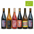 6 Bottles Case | Karma Village  | Rhône  🇫🇷