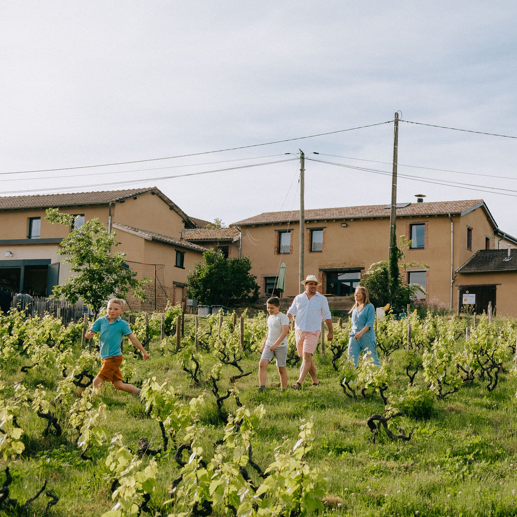 A family of four walks through a lush green vineyard with rows of grapevines, with rustic houses and trees in the background under a soft blue sky.
