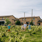 A family of four walks through a lush green vineyard with rows of grapevines, with rustic houses and trees in the background under a soft blue sky.