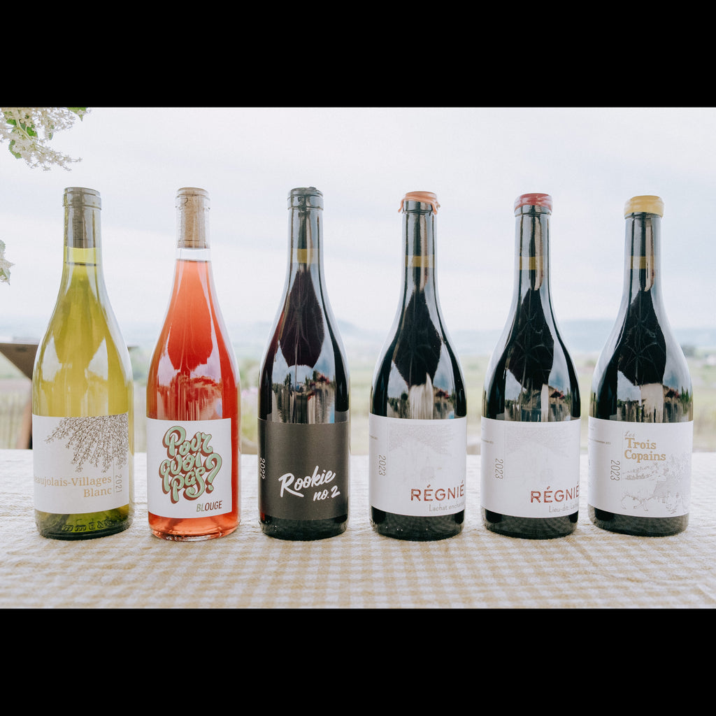 Six wine bottles of varying colors and styles lined up on a checkered tablecloth with a blurred outdoor vineyard background. The bottles include white, rosé, and dark red wines, with labels from brands like Rôgne and Domaine de la Côte d'Or.