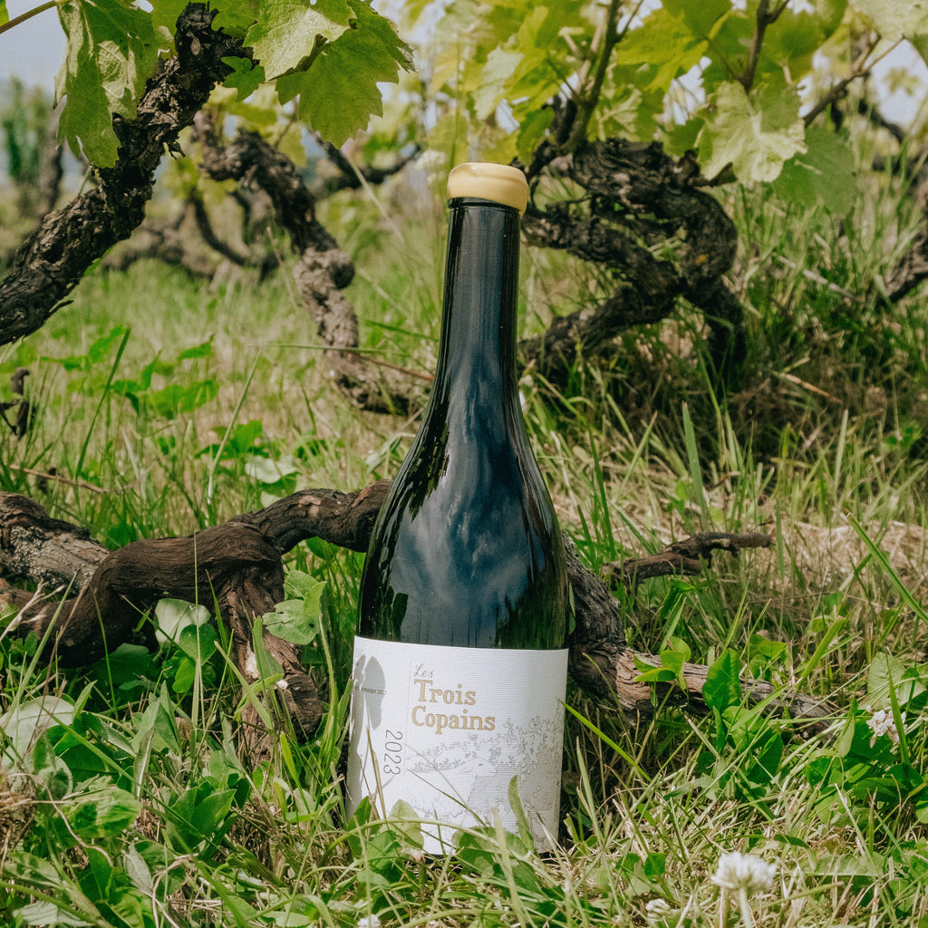 A dark glass bottle of Tres Cavaix white wine with a white label and gold foil, standing upright in a grassy vineyard between grapevine trunks and green leaves.