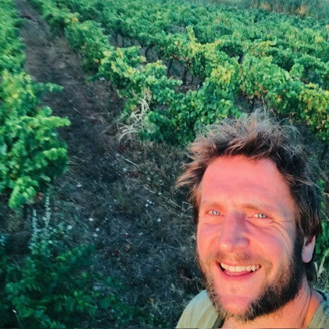 Man standing in a field of green plants with trees in the background