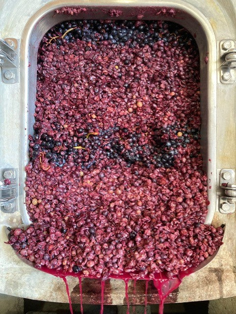 Stainless steel sink filled with red and black fruit pulp