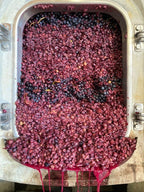 Stainless steel sink filled with red and black fruit pulp