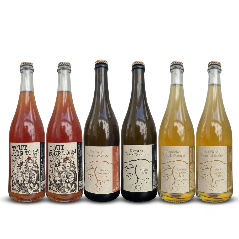 Domaine Pascal Treichler | Caisse panachée | Bade, Allemagne | 6 bouteilles