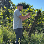 A man wearing a light gray t-shirt, dark pants, and a black cap stands in a grassy outdoor vineyard under a clear blue sky, gesturing towards grapevines.
