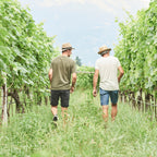 Two men walking away in a vineyard between rows of grapevines, wearing hats, casual t-shirts, and shorts.