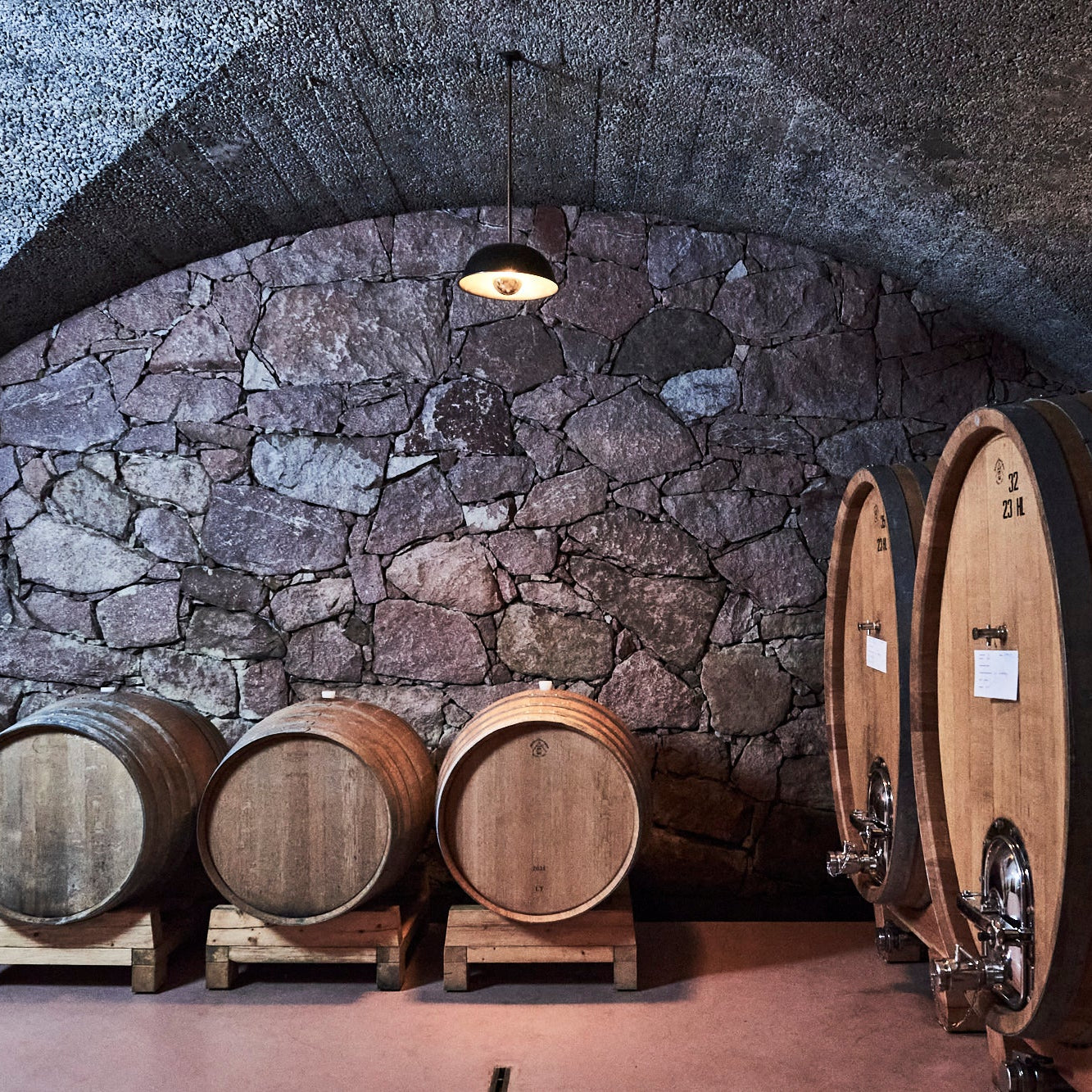 Reyter wine cellar with large wooden barrels against a stone wall