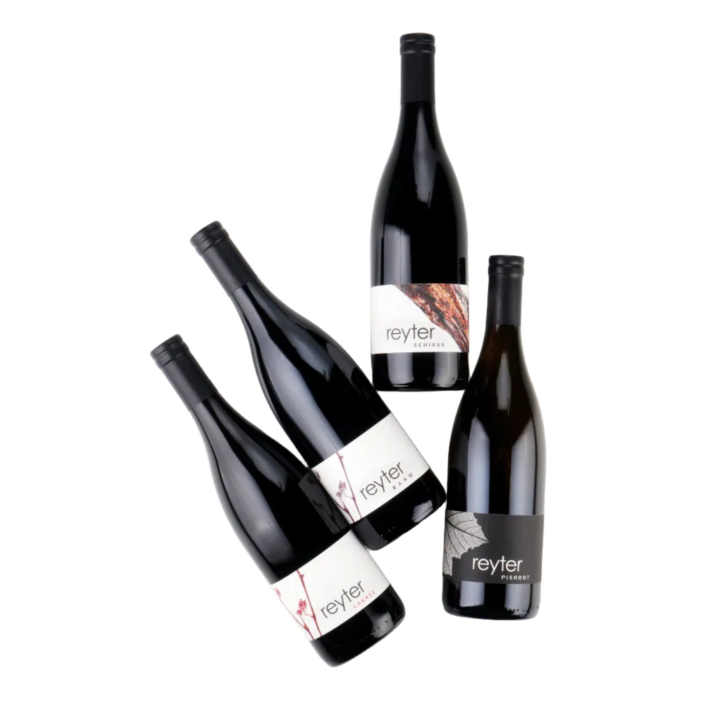 Four dark glass wine bottles with black caps and white labels featuring the brand name 'reyter' in lowercase, arranged on a light gray background.