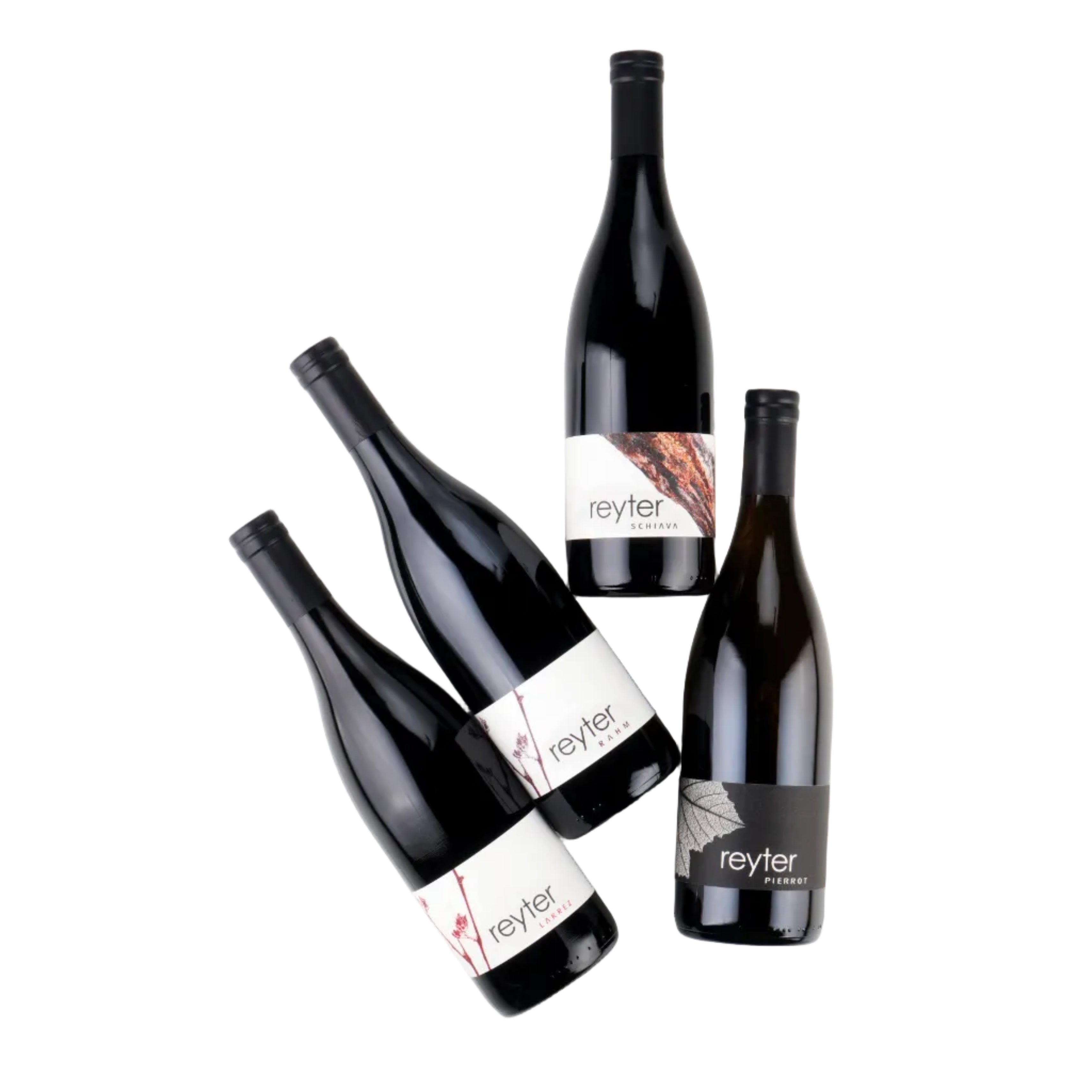 Four dark glass wine bottles with black caps and white labels featuring the brand name 'reyter' in lowercase, arranged on a light gray background.