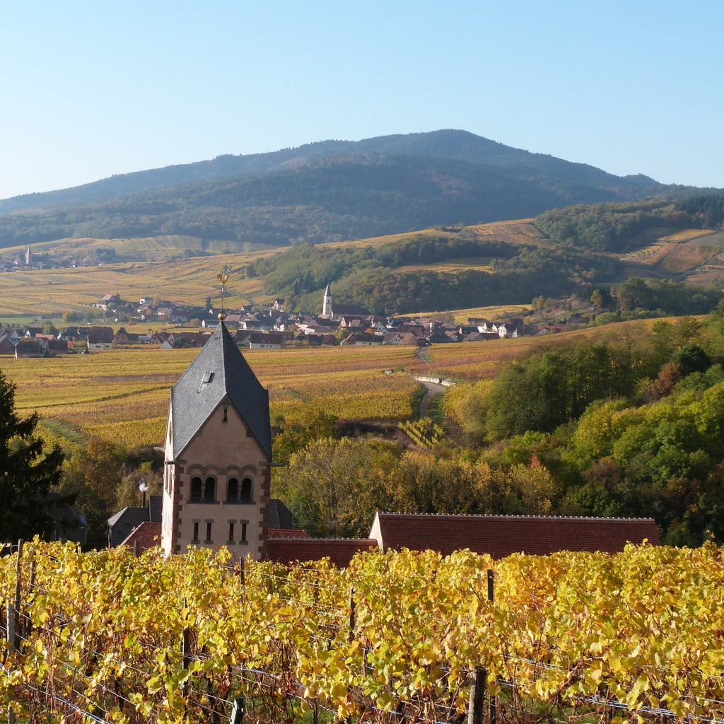 A village with a church and surrounding Luc Faller vineyards under a mountainous landscape