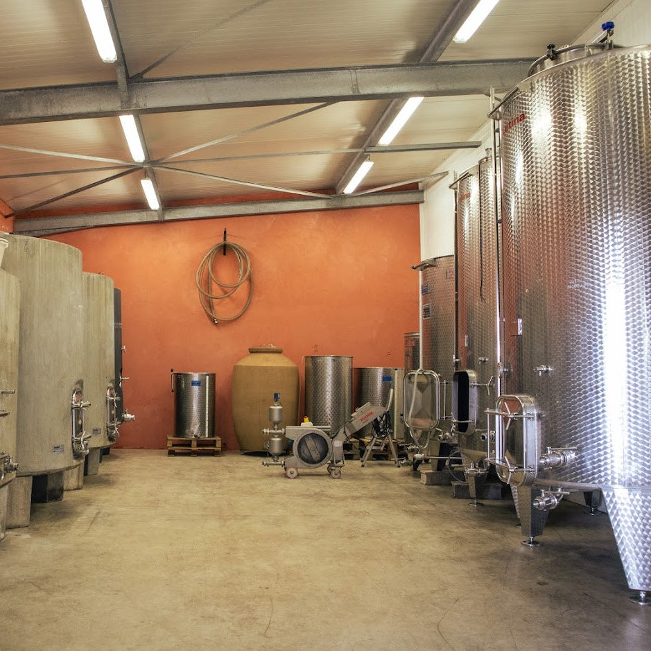Vignoble Reveille - Chais