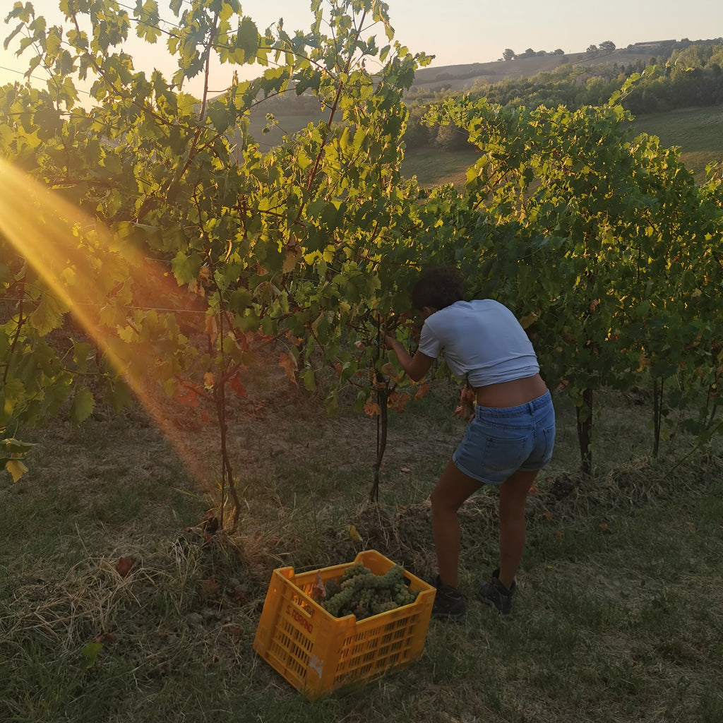 At Villa Agavì, Marano sul Panaro, Emilia-Romagna