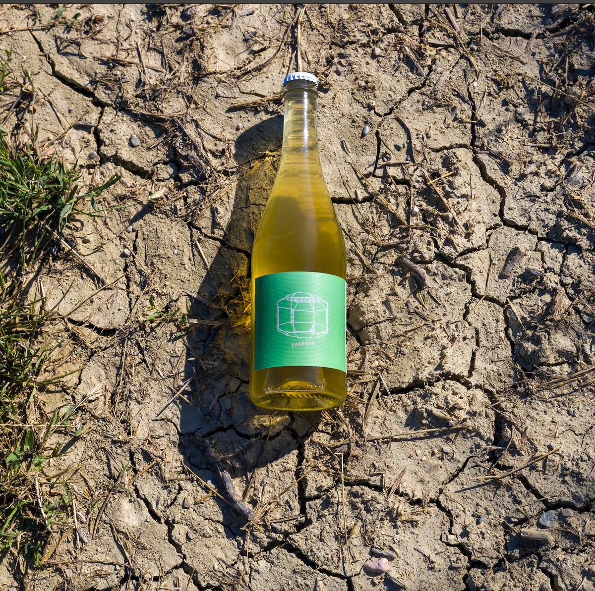 Sospeso 2024 by Villa Agavì on the dry earth of the estate