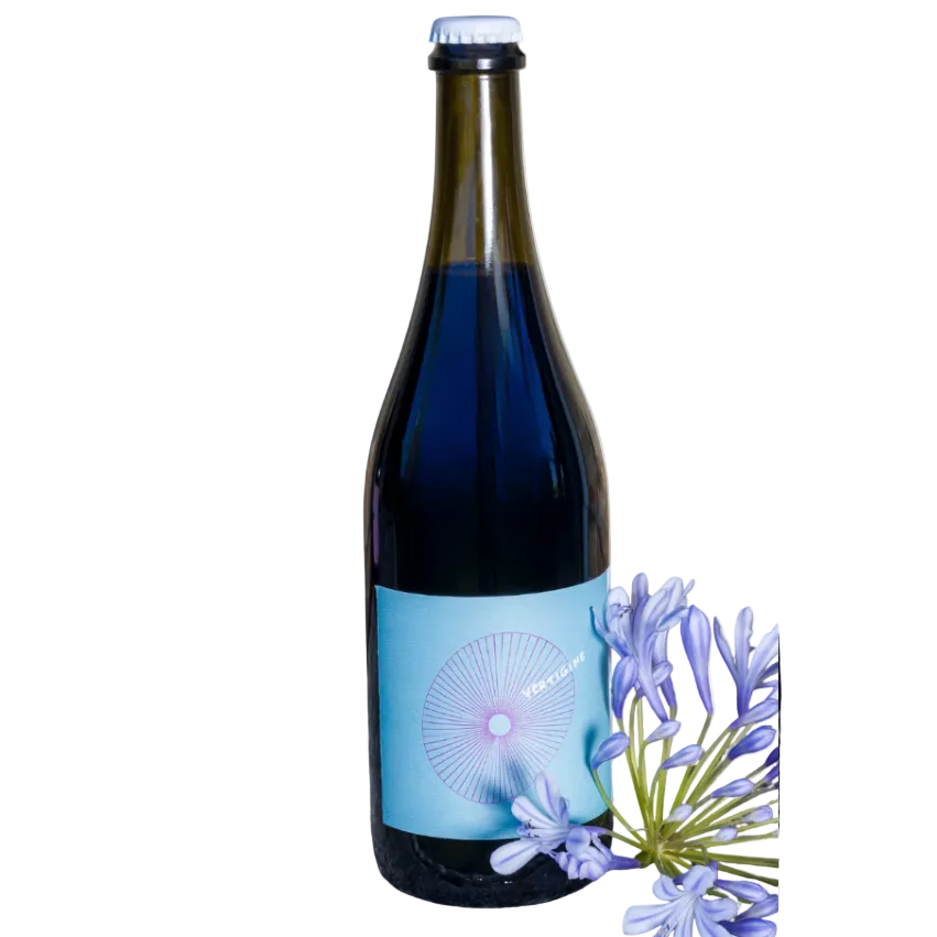 Bottle of Vertigine 2024, red pétillant Lambrusco Grasparossa by Villa Agavì, Emilia-Romagna