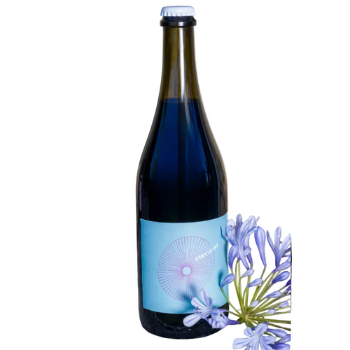 Bottle of Vertigine 2024, red pétillant Lambrusco Grasparossa by Villa Agavì, Emilia-Romagna
