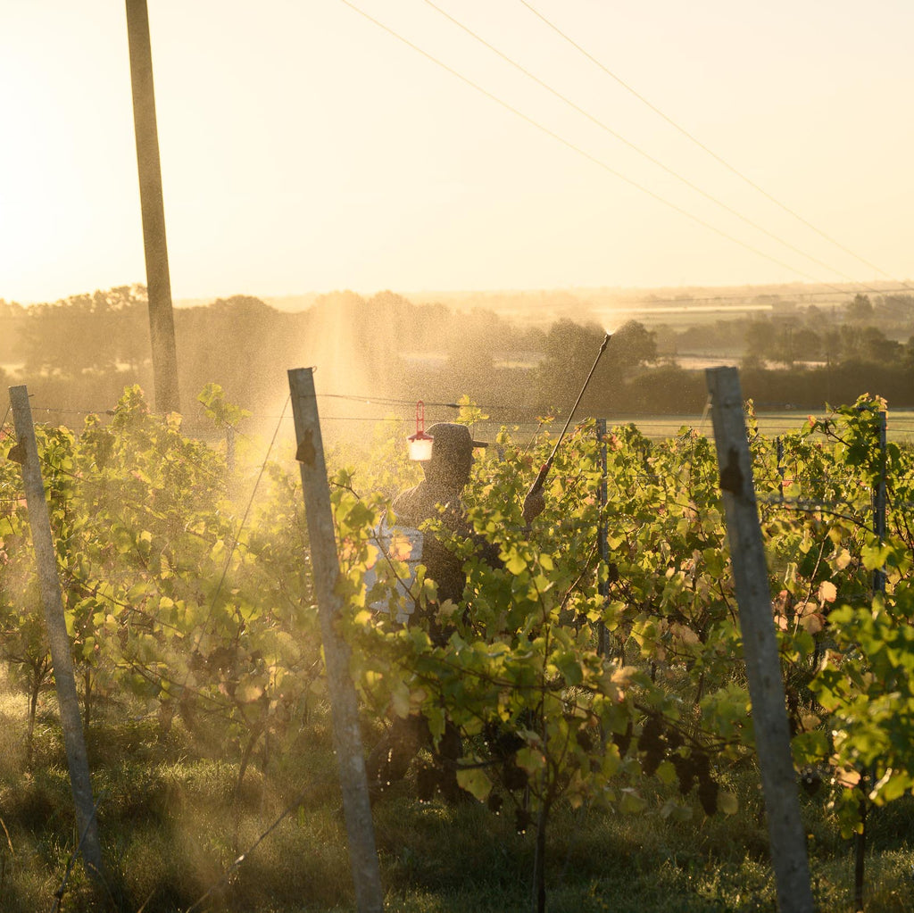 man in vines
