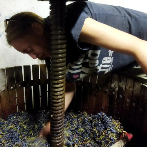 Julie & Charles, winemakers at Les Vignes de Yavanna, Anjou