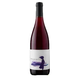 Bottle of Terre de Vent 2023, Côtes du Rhône Villages Valréas red by Les Jardins d'Ingrid