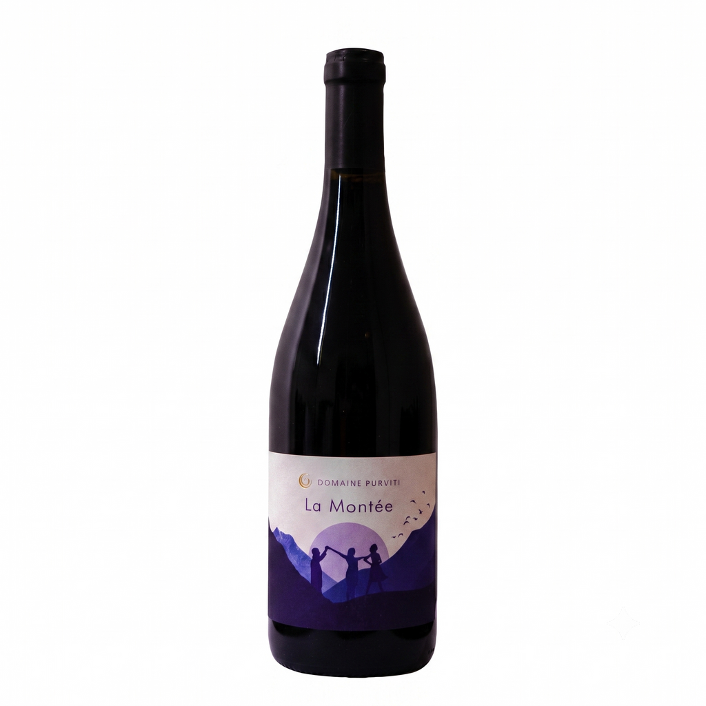 A bottle of wine from Domaine Puyvillé, labeled 'La Montée', featuring a dark purple and blue mountain landscape graphic on a white label, set against a plain white background.
