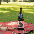 Wine bottle on a picnic blanket